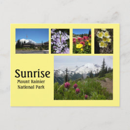 Sunrise (Mount Rainier) Collage 2 Briefkaart