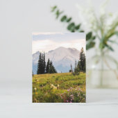 Sunrise Mt. Rainier Gifts Briefkaart (Staand voorkant)