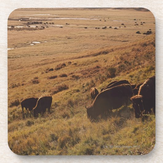 Sunrise On Bison Bier Onderzetter (Voorkant)