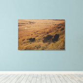 Sunrise On Bison Canvas Afdruk (Insitu (Houten vloer))