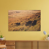 Sunrise On Bison Canvas Afdruk (Insitu (Woonkamer))