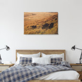 Sunrise On Bison Canvas Afdruk (Insitu (Slaapkamer))