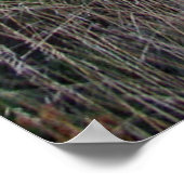 Sunrise op Casa Grande, BBNP, Texas Poster (Hoek)