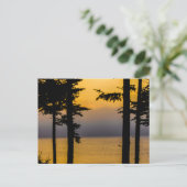 Sunrise op de baai van Gouldsboro, Maine Briefkaart (Staand voorkant)