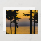 Sunrise op de baai van Gouldsboro, Maine Briefkaart (Voorkant / Achterkant)