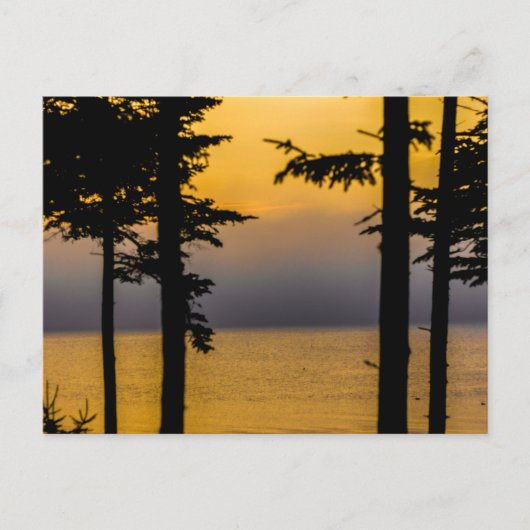 Sunrise op de baai van Gouldsboro, Maine Briefkaart (Voorkant)