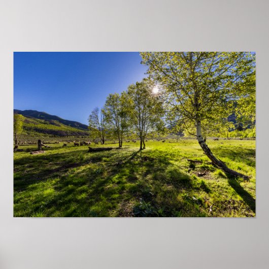 Sunrise op een weide vol schapen poster (Voorkant)