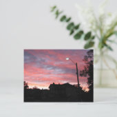 Sunrise over Centennial Park, Sydney Briefkaart (Staand voorkant)