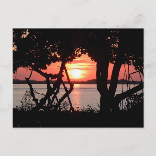 Sunrise over de baai briefkaart (Voorkant)