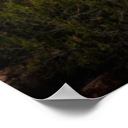 Sunrise Over de Watchman Poster (Hoek)