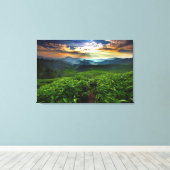 Sunrise over het Boerderij van Tea Canvas Afdruk (Insitu (Houten vloer))