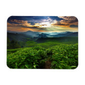 Sunrise over het Boerderij van Tea Magneet (Horizontaal)