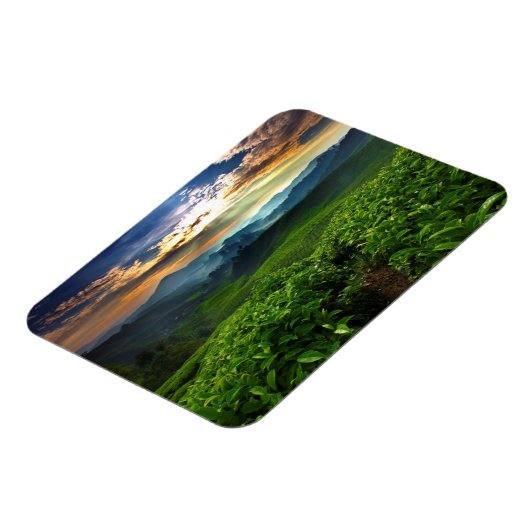 Sunrise over het Boerderij van Tea Magneet (Linkerzijde)