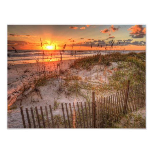 Sunrise Over Sand Dunes in Daytona Beach, FL Foto Afdruk (Voorkant)