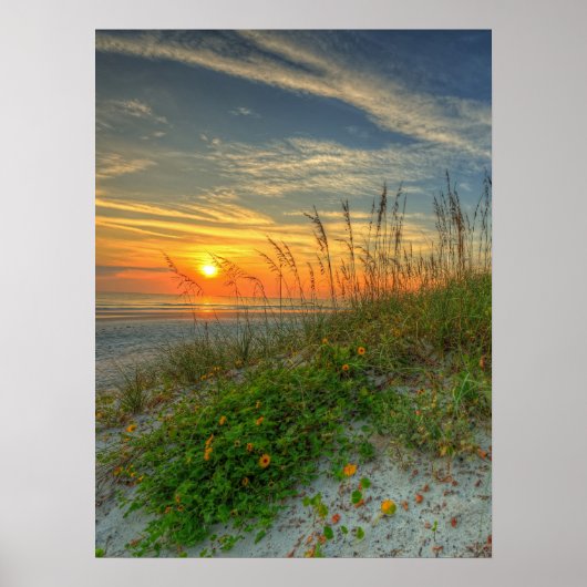 Sunrise Over Sand Dunes in Daytona Beach, FL Poster (Voorkant)