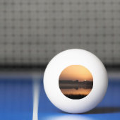Sunrise Pingpongbal (Net)