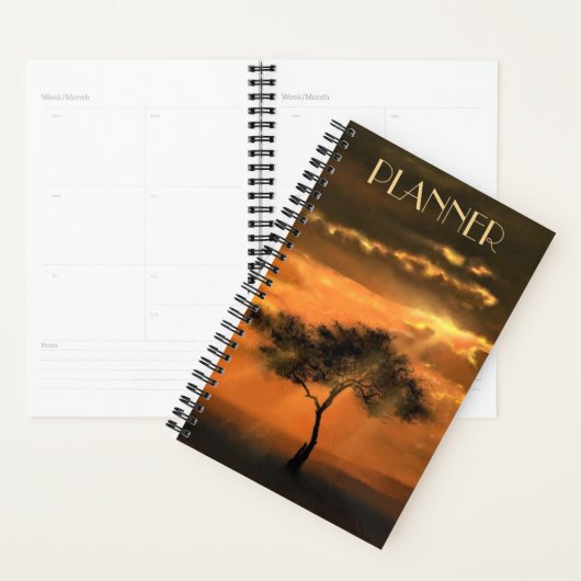 Sunrise Planner Tree Sunbeams (Display)
