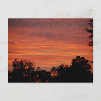 Sunrise Postcard Briefkaart