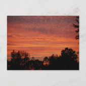 Sunrise Postcard Briefkaart (Voorkant)
