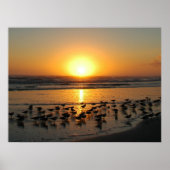 Sunrise Poster (Voorkant)