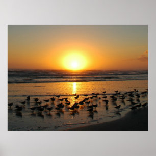 Sunrise Poster