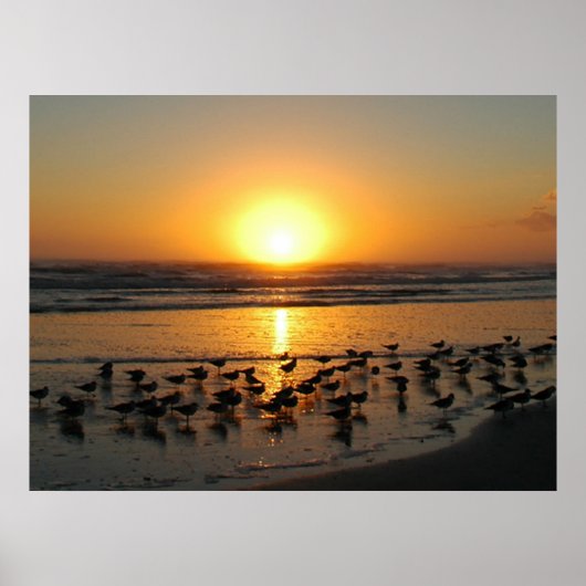 Sunrise Poster (Voorkant)