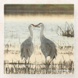 Sunrise Sandhill Crane pair Glazen Onderzetter