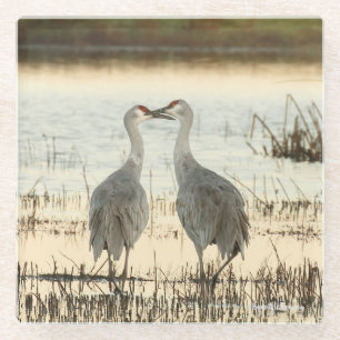 Sunrise Sandhill Crane pair Glazen Onderzetter