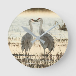 Sunrise Sandhill Crane pair Ronde Klok