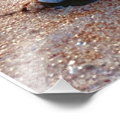 Sunrise Shell Foto Afdruk (Hoek)