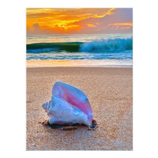 Sunrise Shell Foto Afdruk (Voorkant)