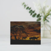 Sunrise Silhouette Briefkaart (Staand voorkant)