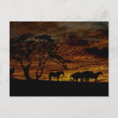 Sunrise Silhouette Briefkaart (Voorkant)