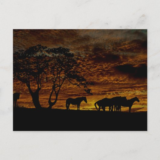 Sunrise Silhouette Briefkaart (Voorkant)