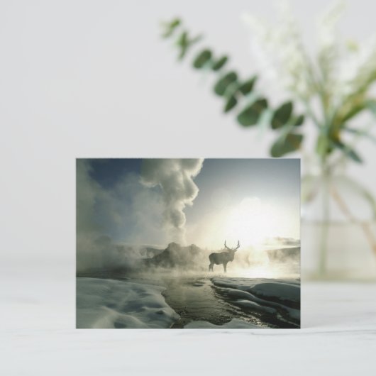 Sunrise Silhouette van Elk bij Castle Geyser Briefkaart (Staand voorkant)