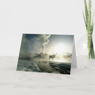 Sunrise Silhouette van Elk bij Castle Geyser Kaart