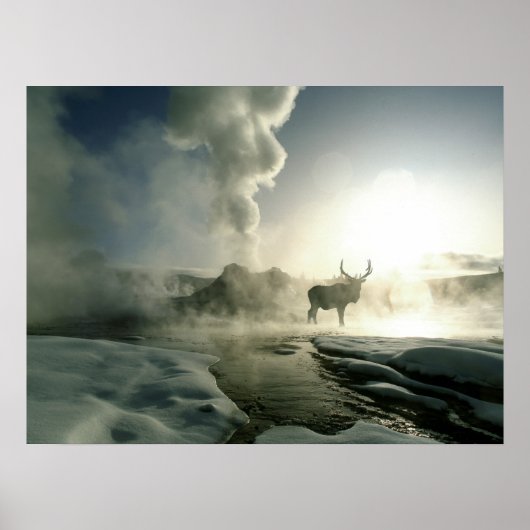 Sunrise Silhouette van Elk bij Castle Geyser Poster (Voorkant)