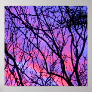 Sunrise Silohuette Poster