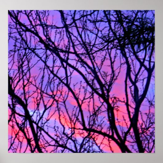 Sunrise Silohuette Poster (Voorkant)