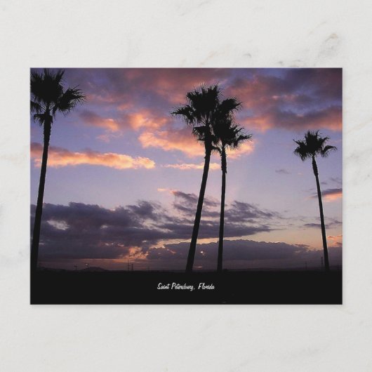 Sunrise, Sint-Petersburg, briefkaart van Florida (Voorkant)