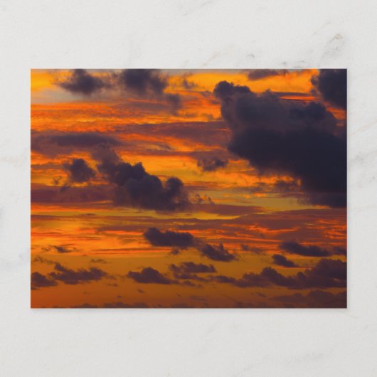 Sunrise Sky voor de kust van Florida Briefkaart (Voorkant)