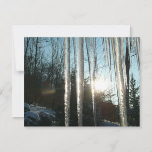 Sunrise Through Icicles Winter Natuur Fotografie