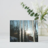 Sunrise Through Icicles Winter Natuur Fotografie (Staand voorkant)