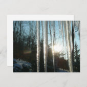 Sunrise Through Icicles Winter Natuur Fotografie (Voorkant / Achterkant)