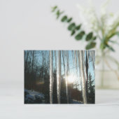 Sunrise Through Icicles Winter Natuur Fotografie Briefkaart (Staand voorkant)