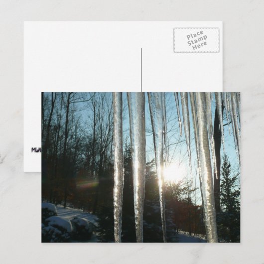 Sunrise Through Icicles Winter Natuur Fotografie Briefkaart (Voorkant / Achterkant)