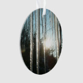 Sunrise Through Icicles Winter Natuur Fotografie Ornament (voorkant)