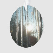 Sunrise Through Icicles Winter Natuur Fotografie Ornament (voorkant)