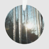 Sunrise Through Icicles Winter Natuur Fotografie Ornament (voorkant)