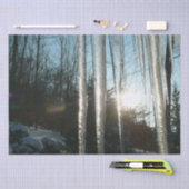 Sunrise Through Icicles Winter Natuur Fotografie Tissuepapier (Craft)